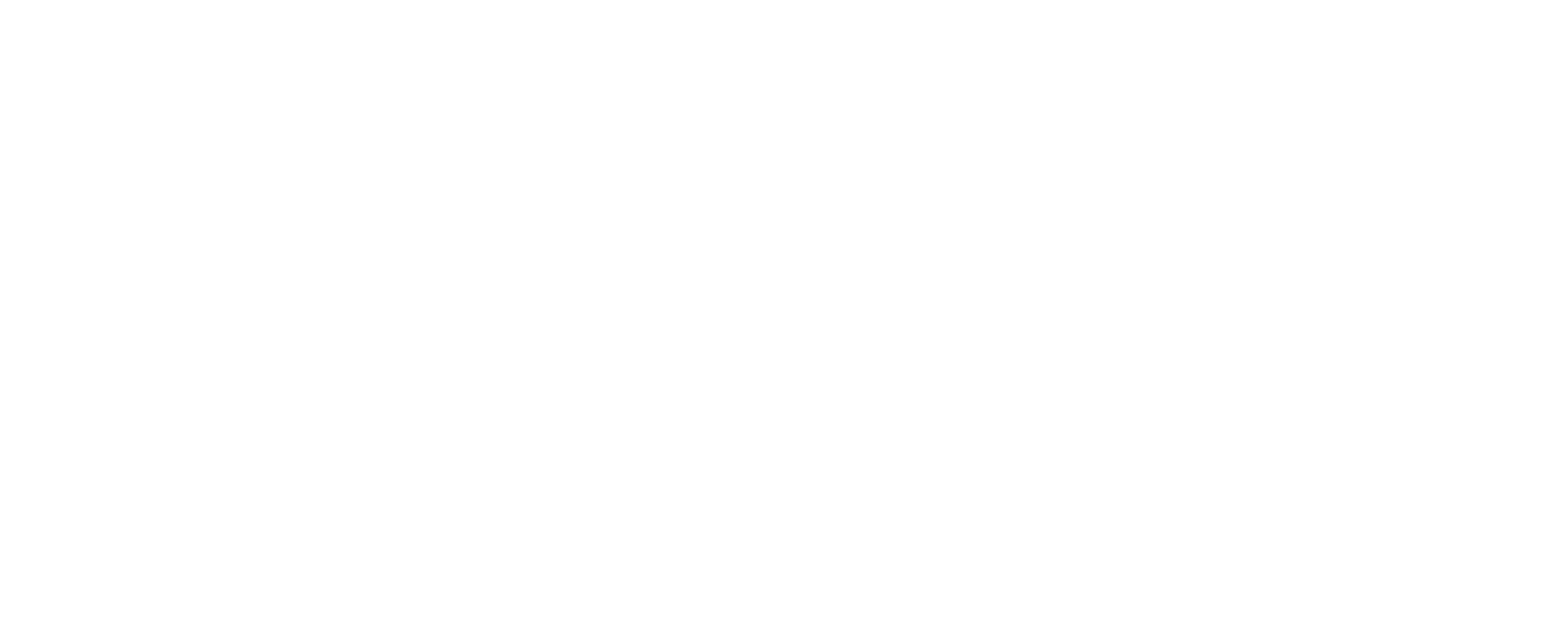 CyberBusters